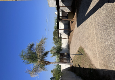 Casa Vacanze Villa Palme